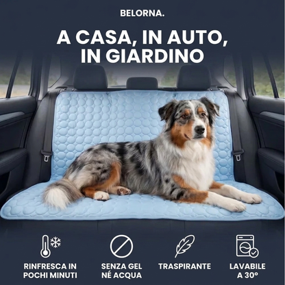 Tappetino Rinfrescante per cani Belorna (1+1)